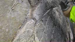 acastle
                          104595.jpg